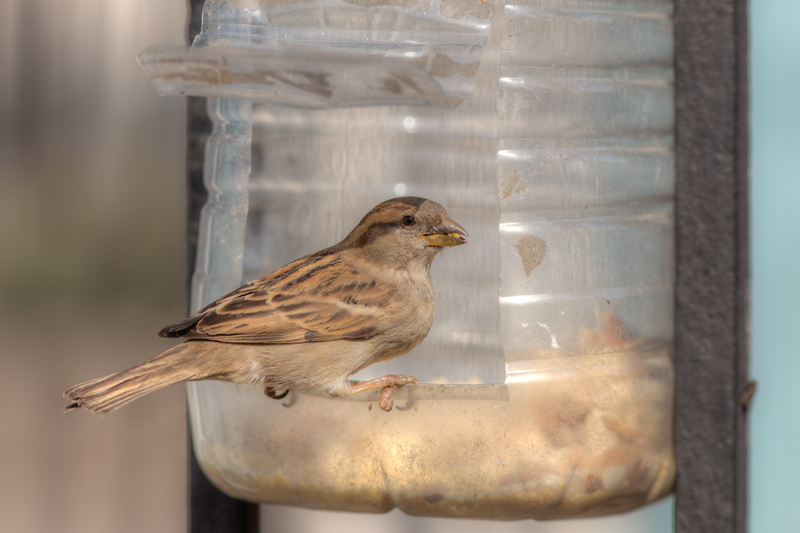 Elevate Your Home's Eco-Friendliness with Expert Tips